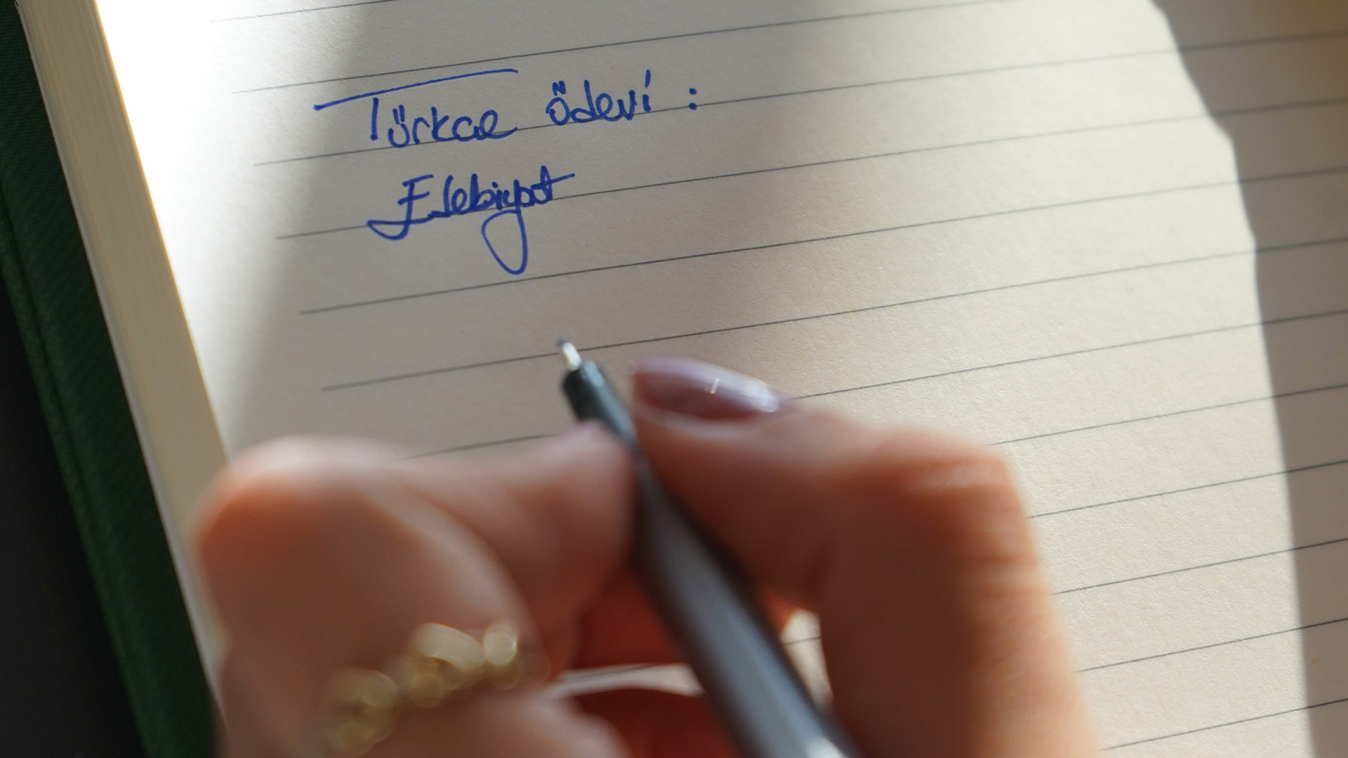 Internettenodevyaparkendikkat