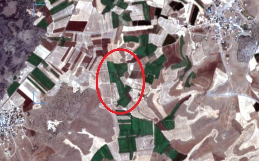 Kacakelektrikkullandiceyayiyinceekibesaldirdi