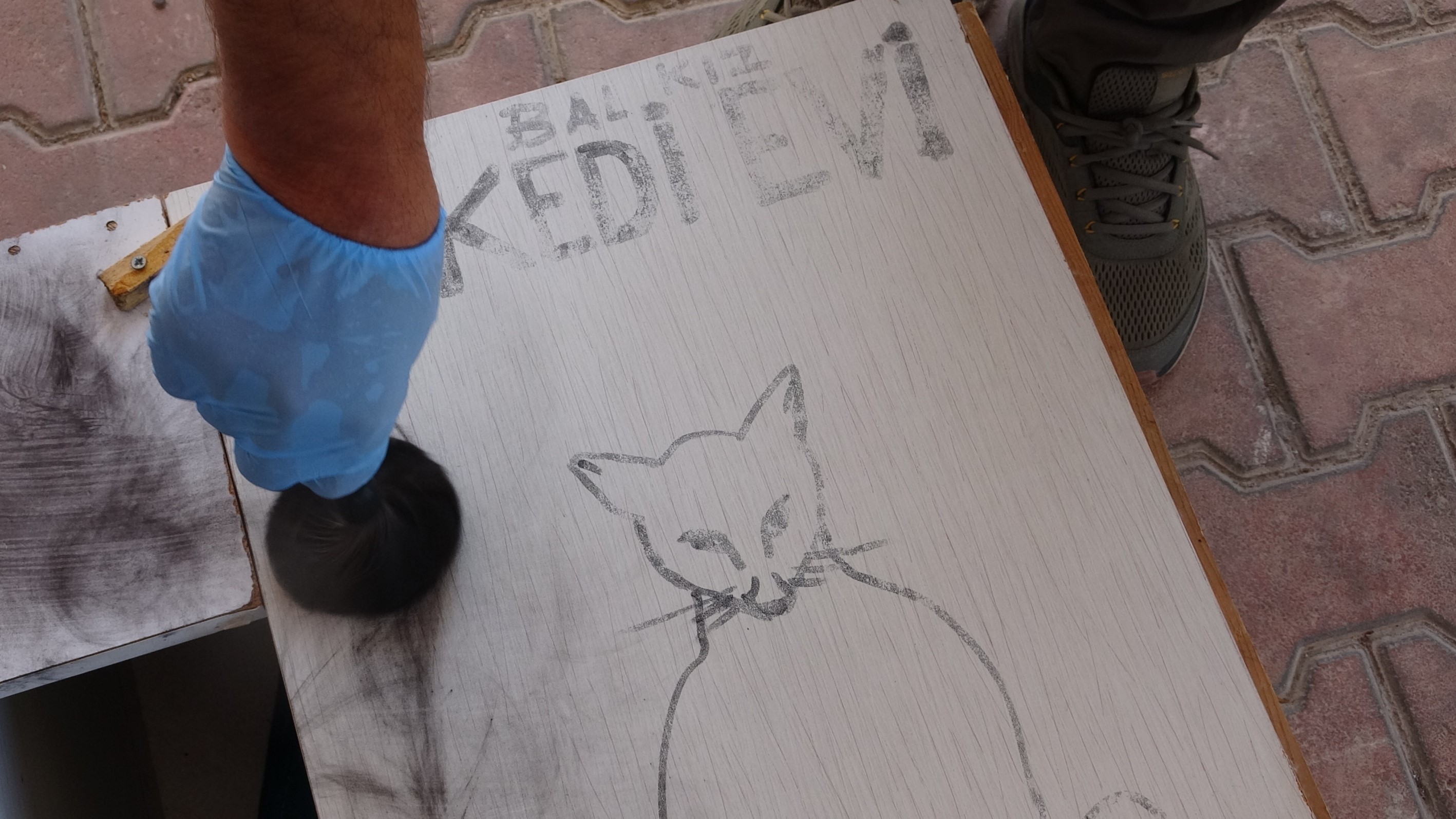 Kedilerdekayipkedievide