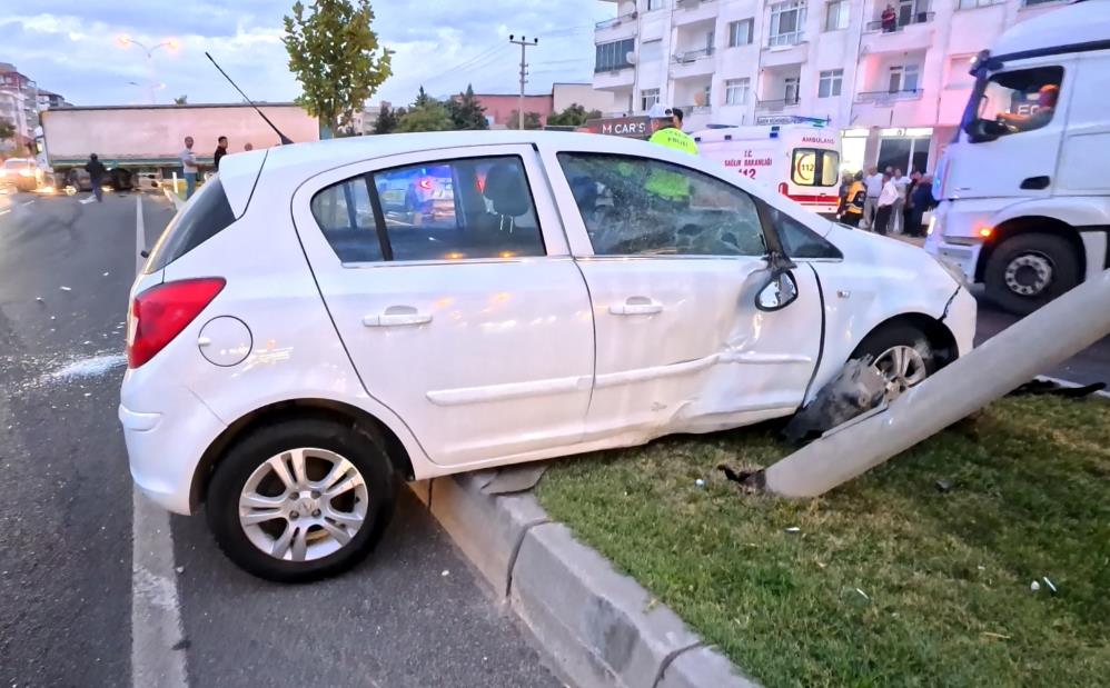 Kediyecarpmamakicinaracacarpti