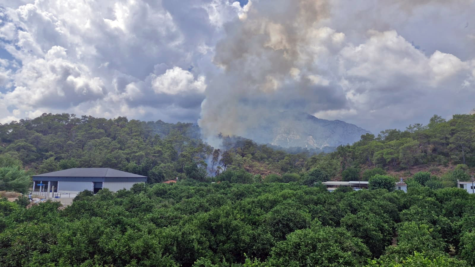 Kemerdeormanyanginialevleryayiliyor