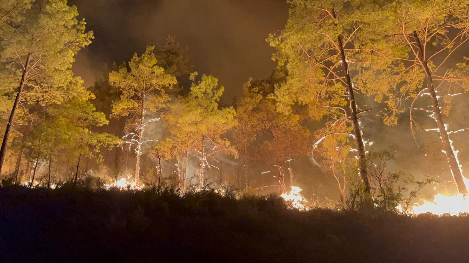 Kenttenpespeseyanginhaberigeldi