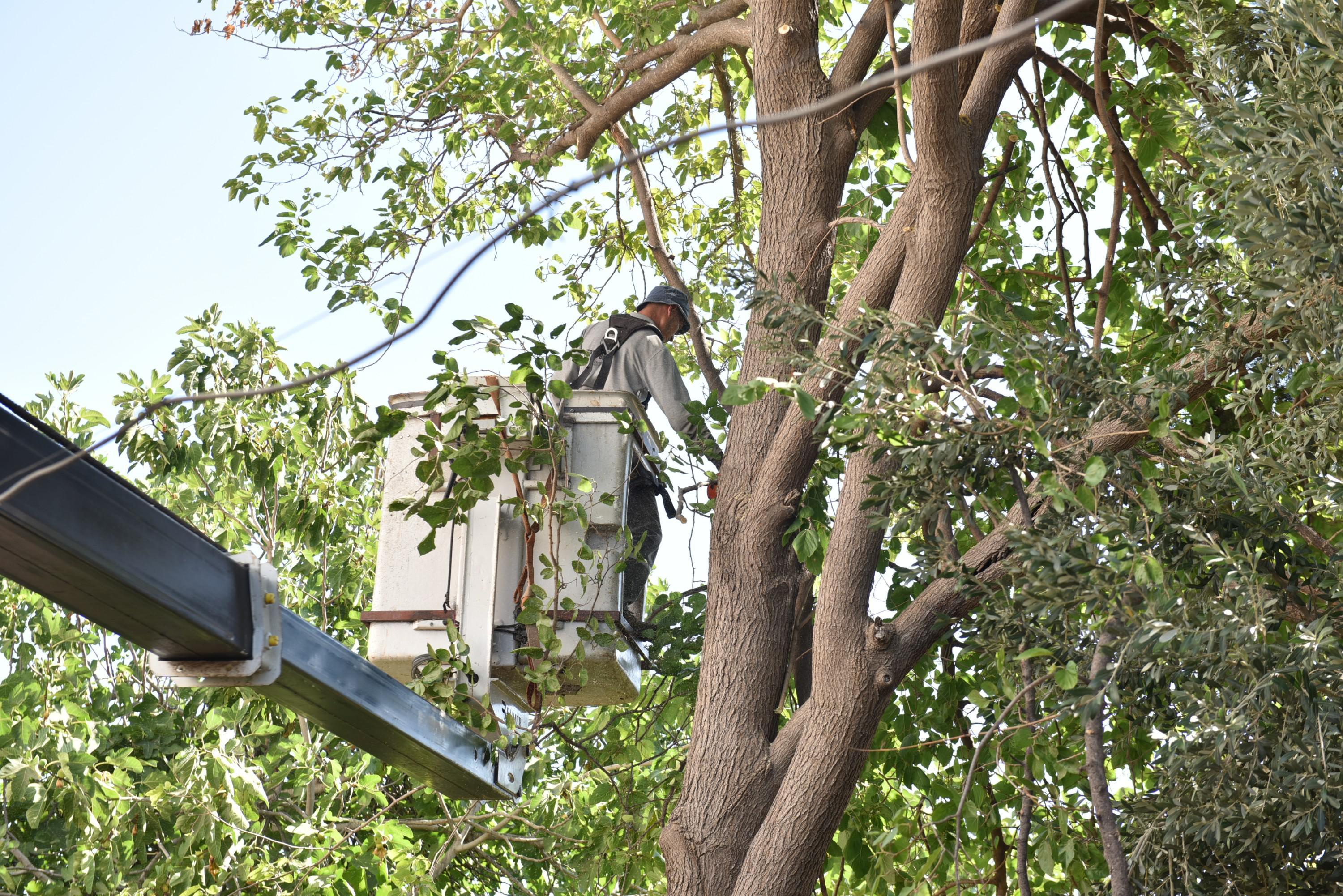 Kepezdenokullarasosyalhizmet