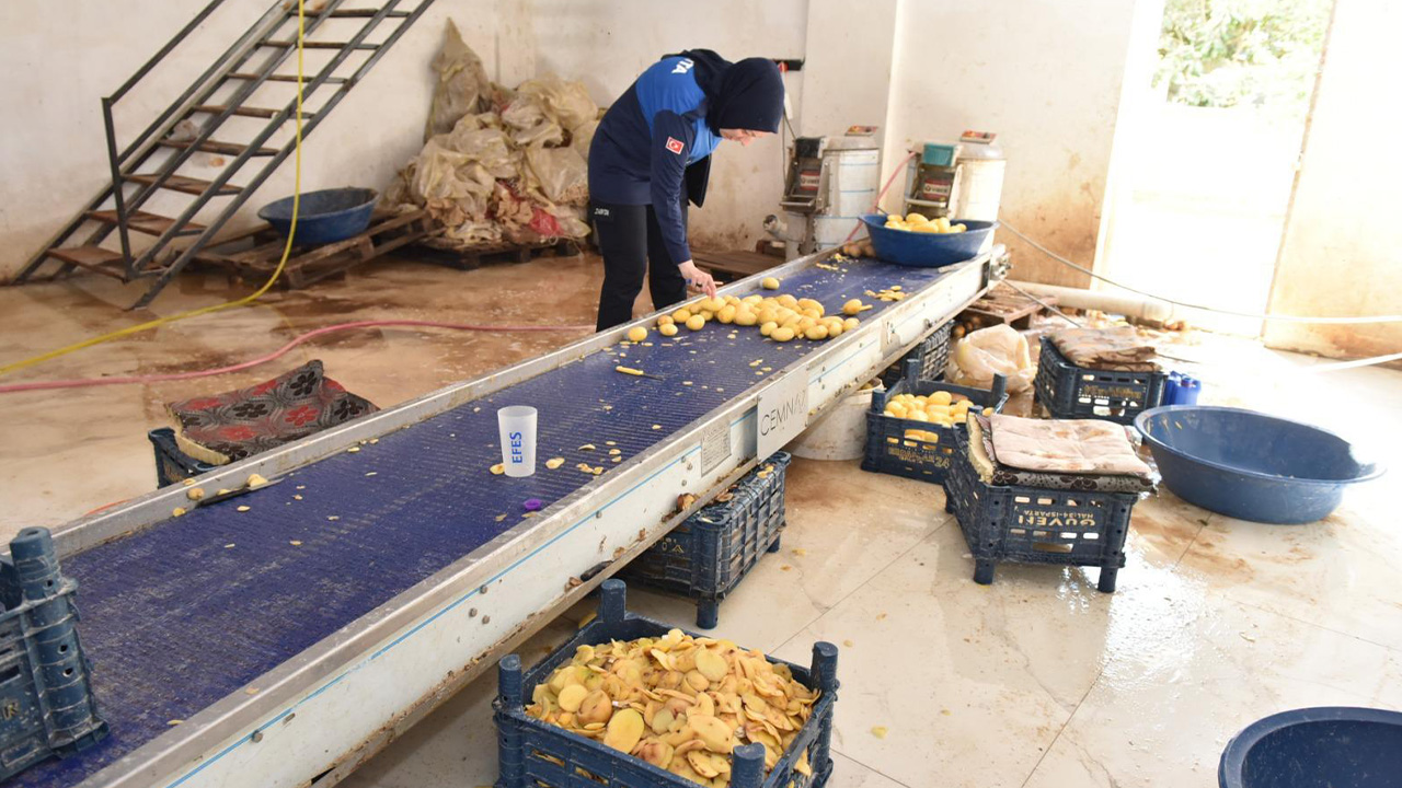 Kepezdepatateslerimhaedildi