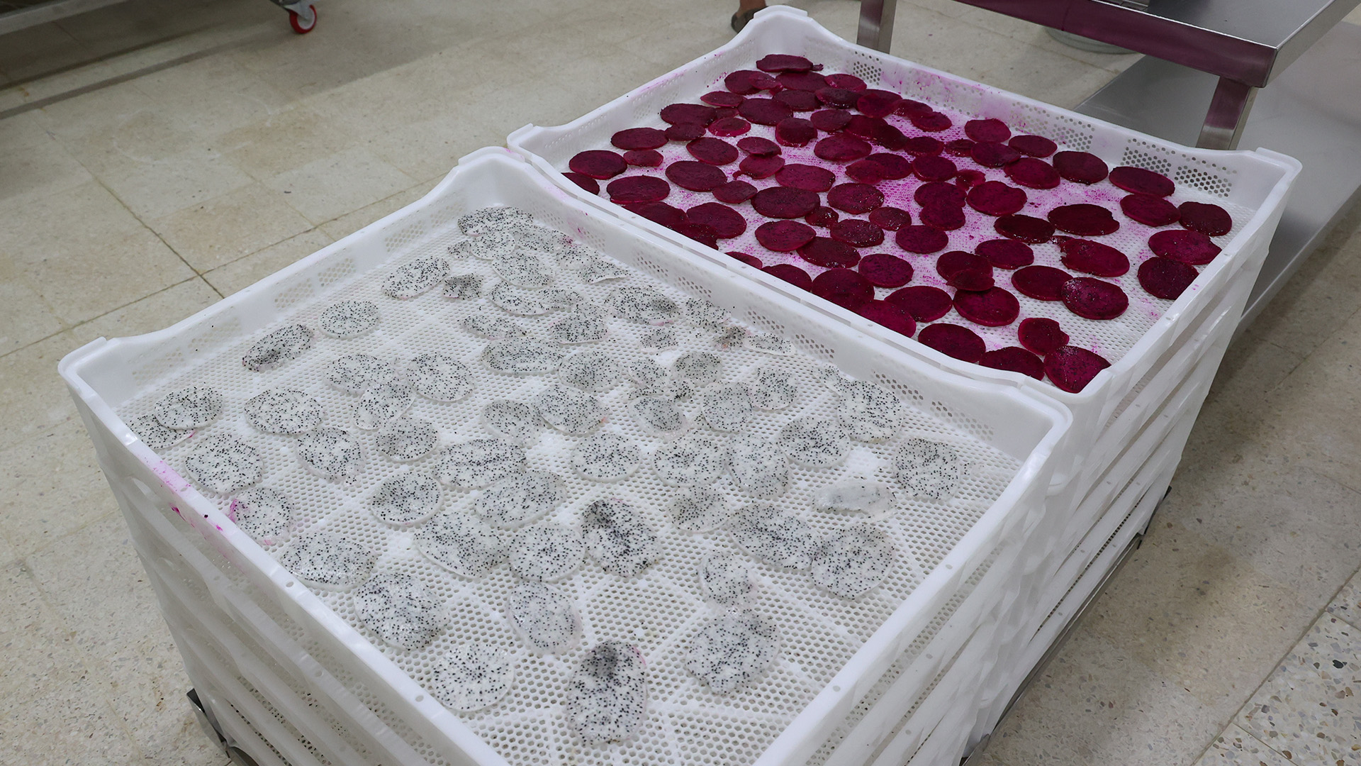 Kumlucadaejdermeyvesiuretimi