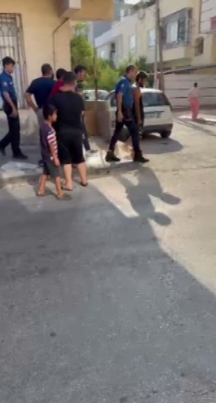 Mahalleliciledencıktı