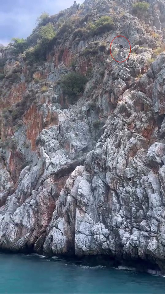 Metrelerceyuksektenatladi