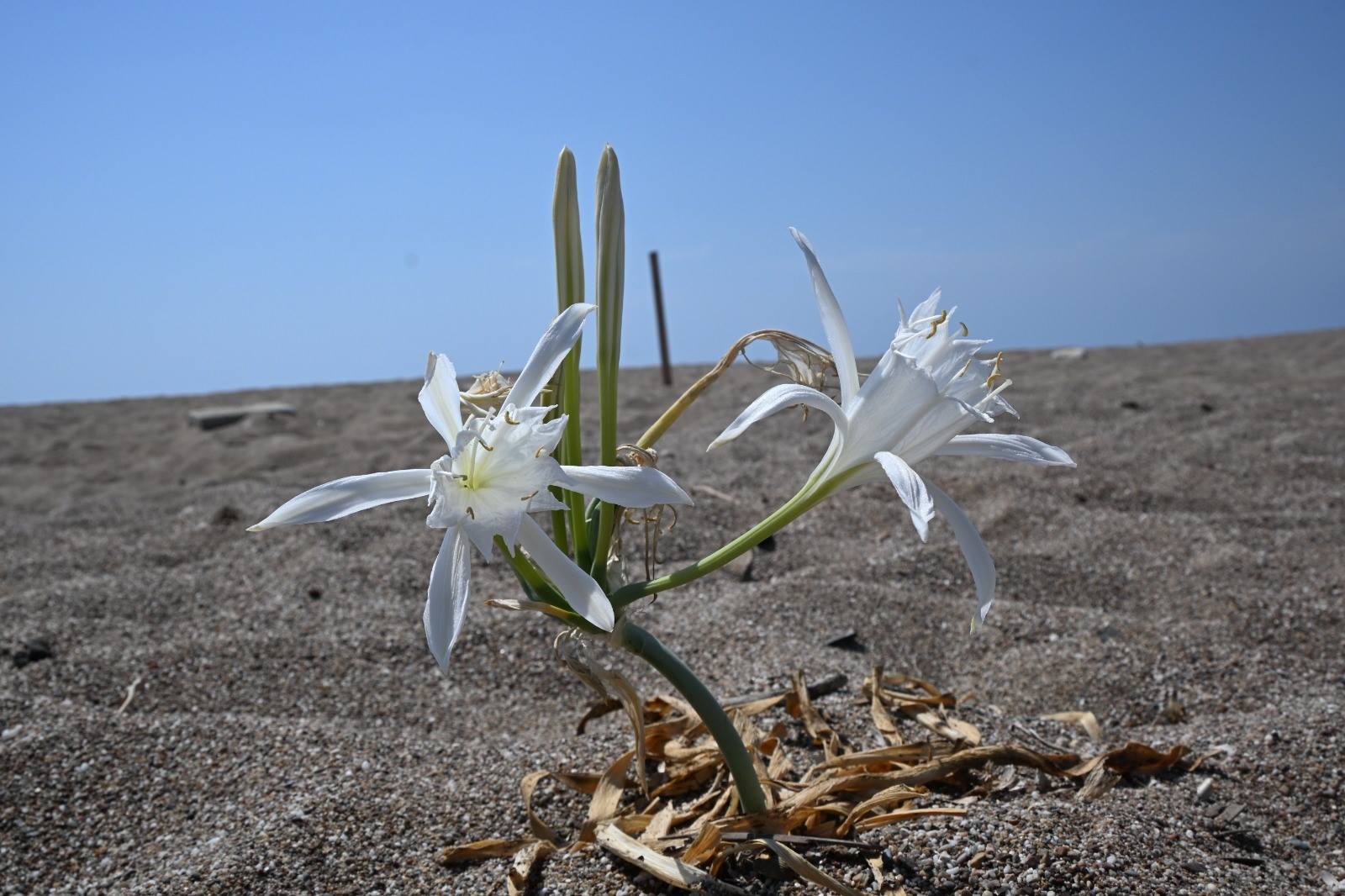 Naddirbitkilereduyarliolunmali