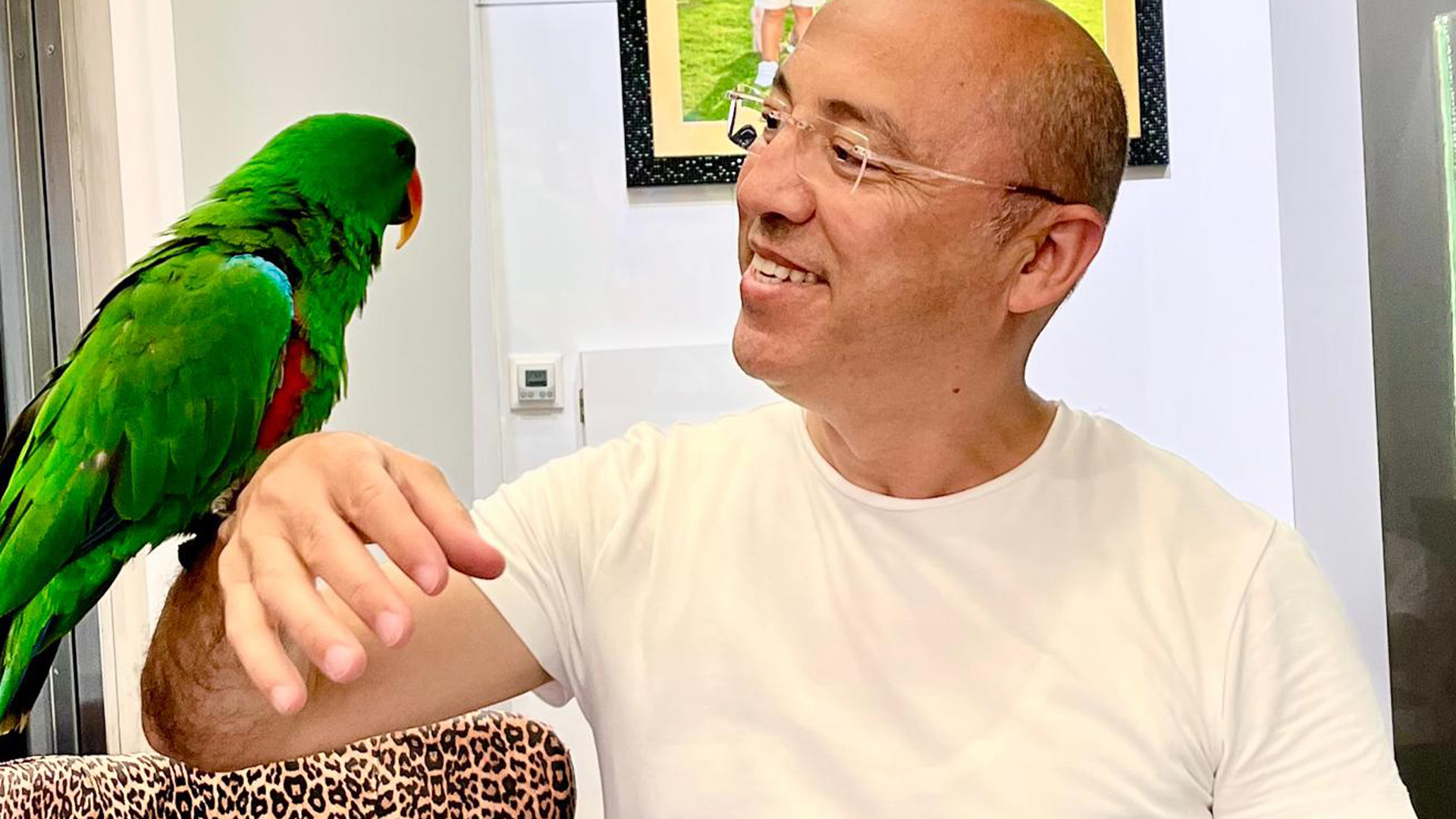 Otellerdeyabanihayvalarlafotografcekimiyasaklandi-1