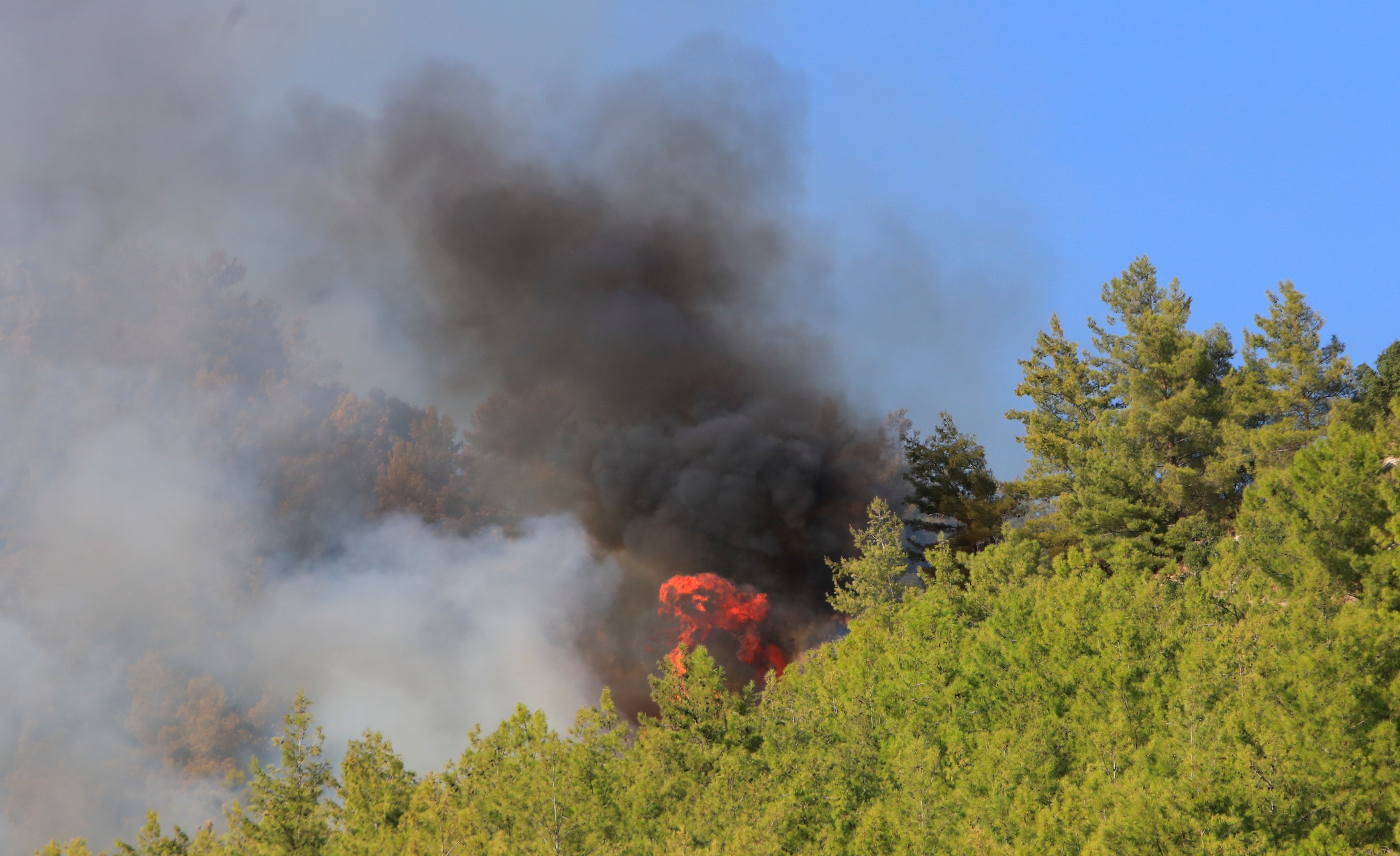 Seriktekiyangintedirginetti