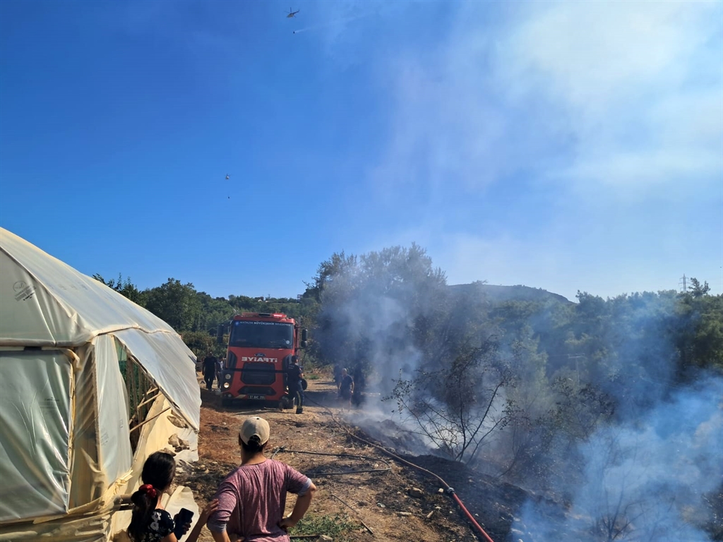 Serikteormanyanginisuruyor