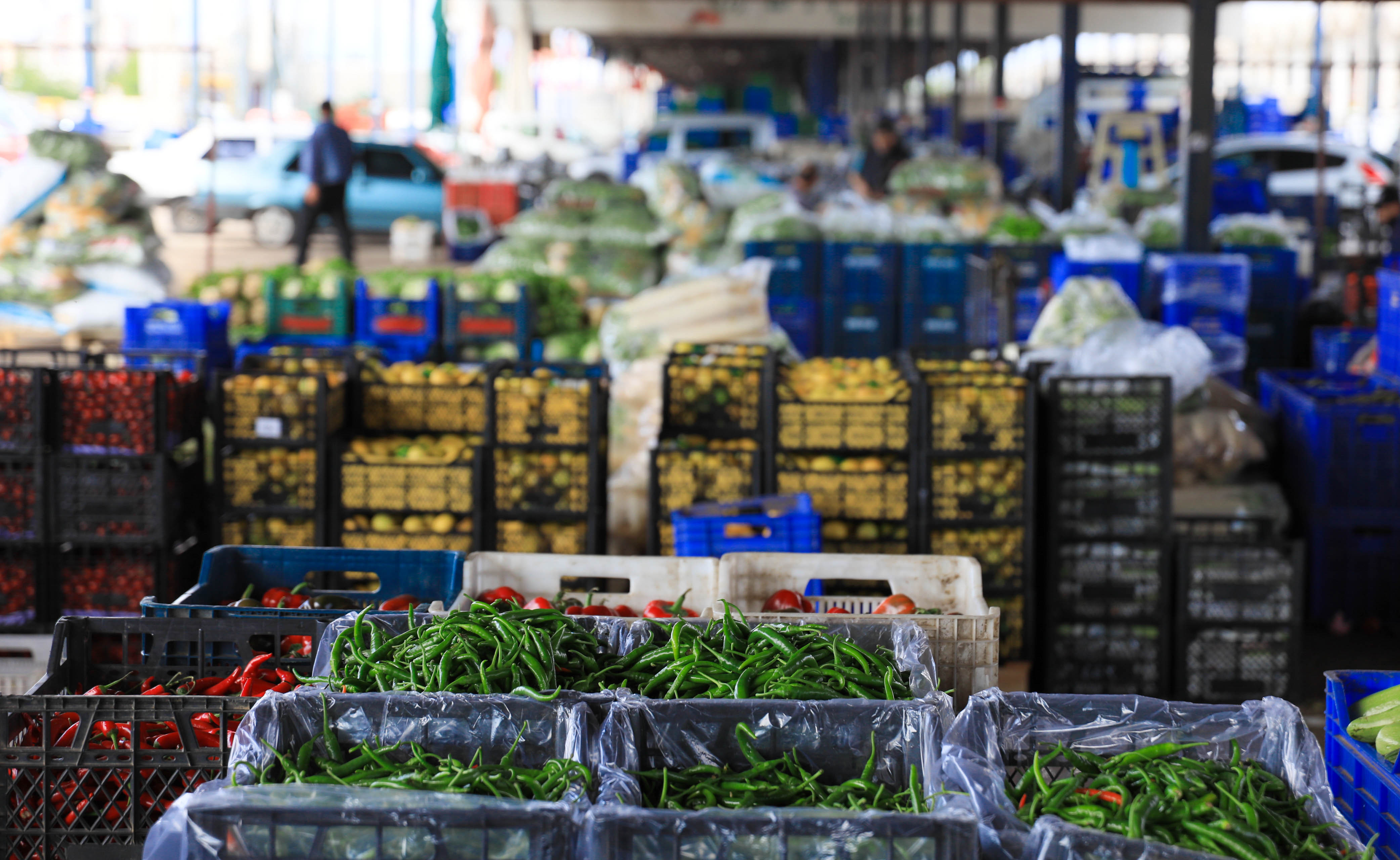 Sinirdakalintitepkisi