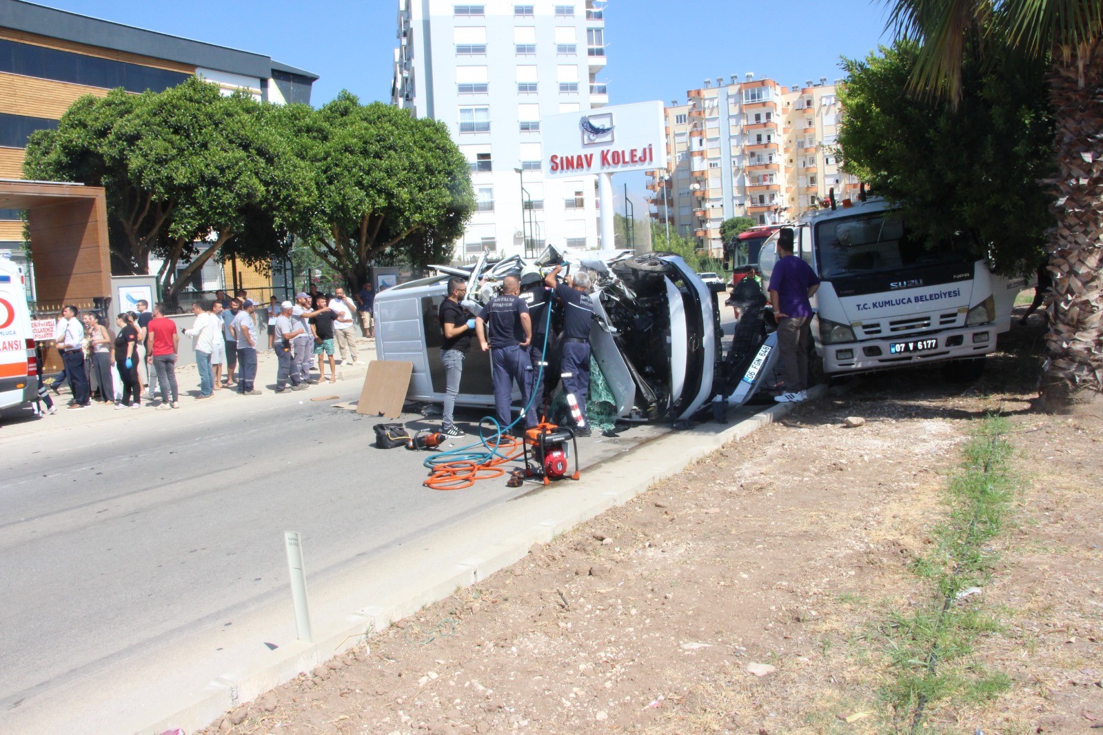 Supurmearacinacarpti