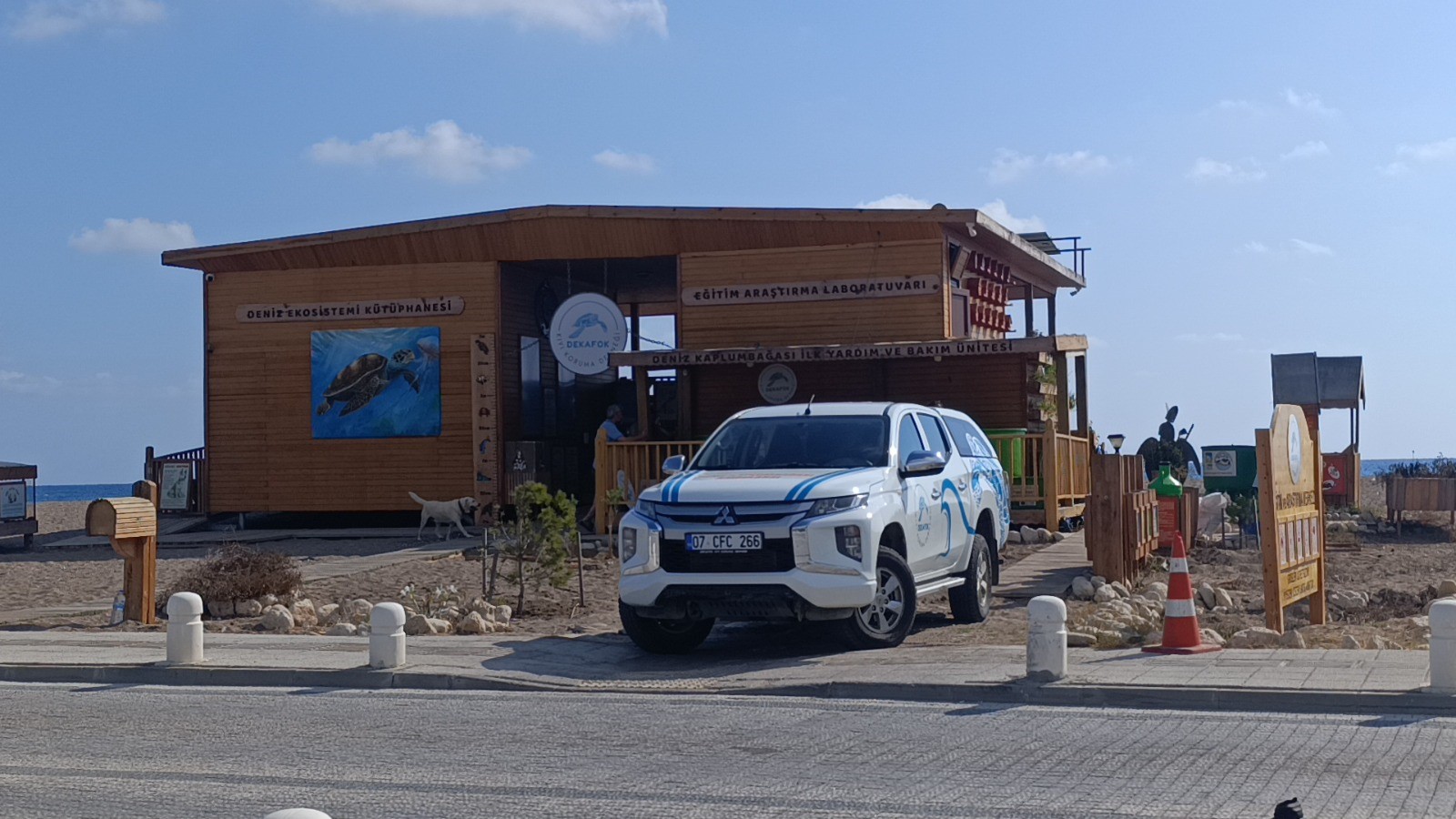 Turkiyeninilkdenizkaplumbagasiambulansi