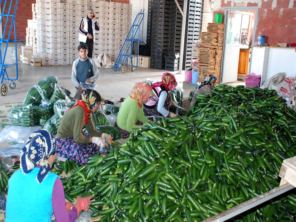 Ukraynanınvergicıkısınaatbdendestekcagrısıbulundu