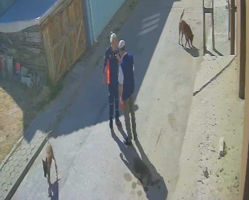 Yaslıadamıdarbetti