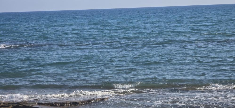 Yuzmekicingirdigidenizdeboguldu