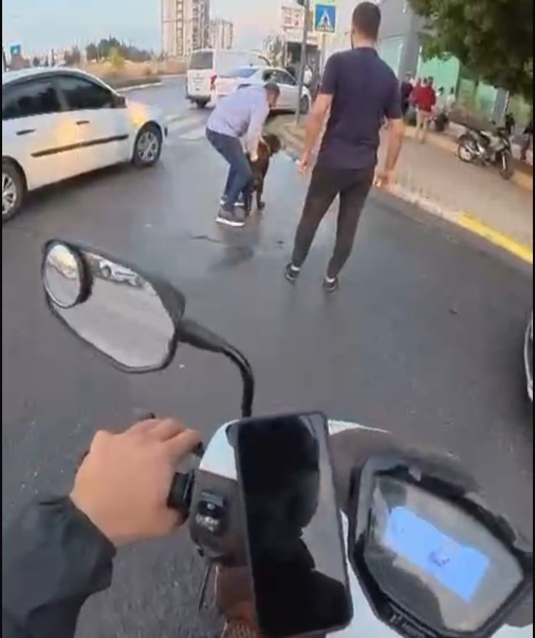 Agizliksizgezdirdigikopegi2Kisiyesaldirdi