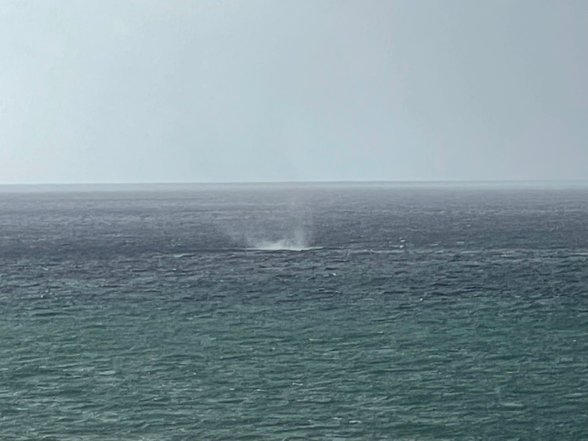 Alanyadahortumciktioanlarkamerayayansidi