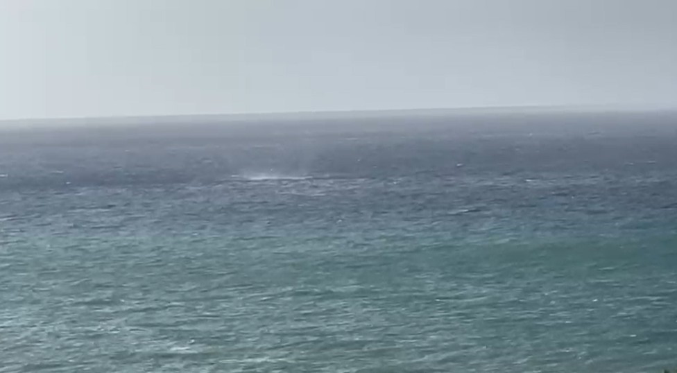 Alanyadakorkutanolay