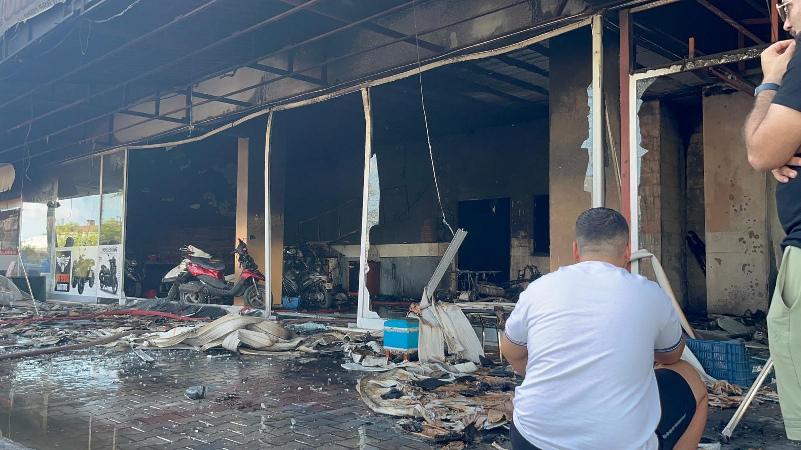 Alanyadayanginpanigi