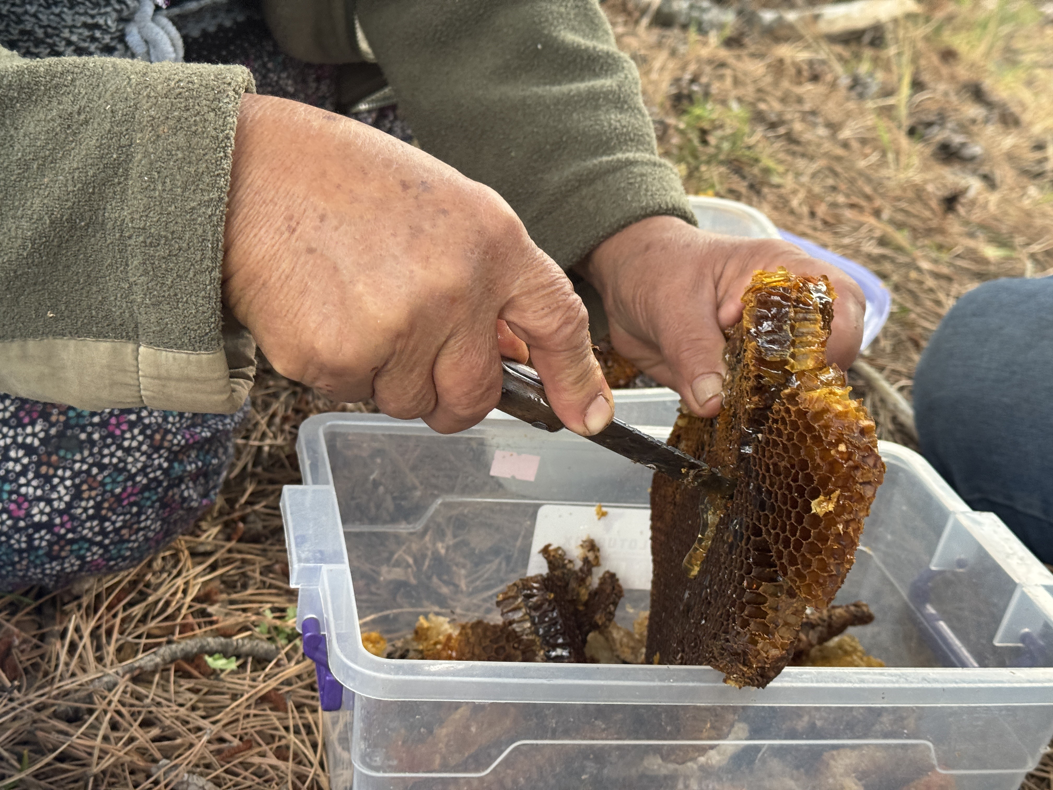 Arilarinpesindengidiyor-1