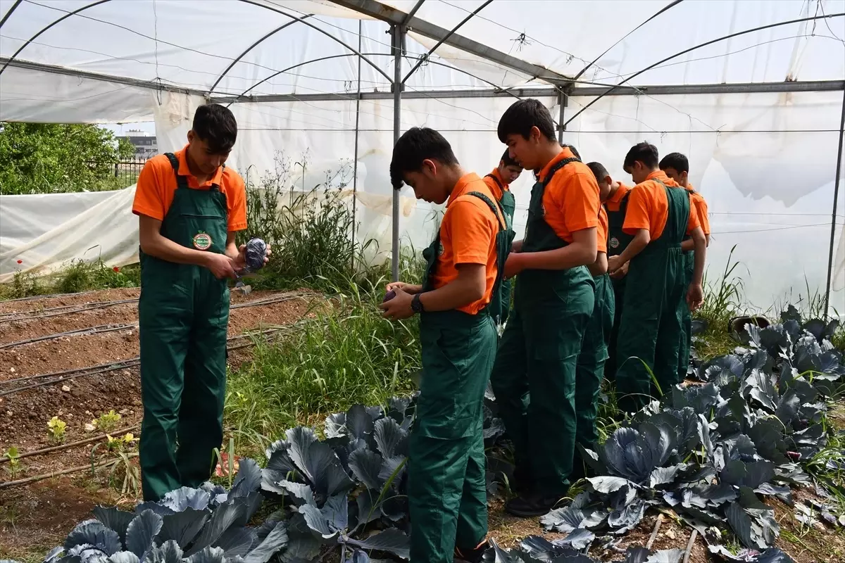 Atbdenaksudakiokulauygulamalieğitimdestegi