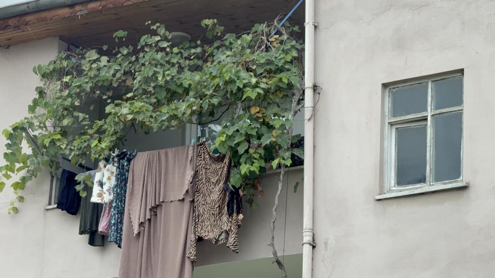 Bebeginiattikadintutuklandi