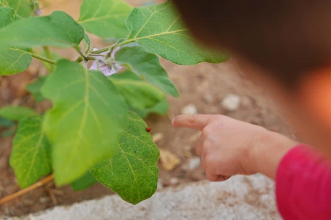 Birbirindenfarklietkinliklerduzenleniyor