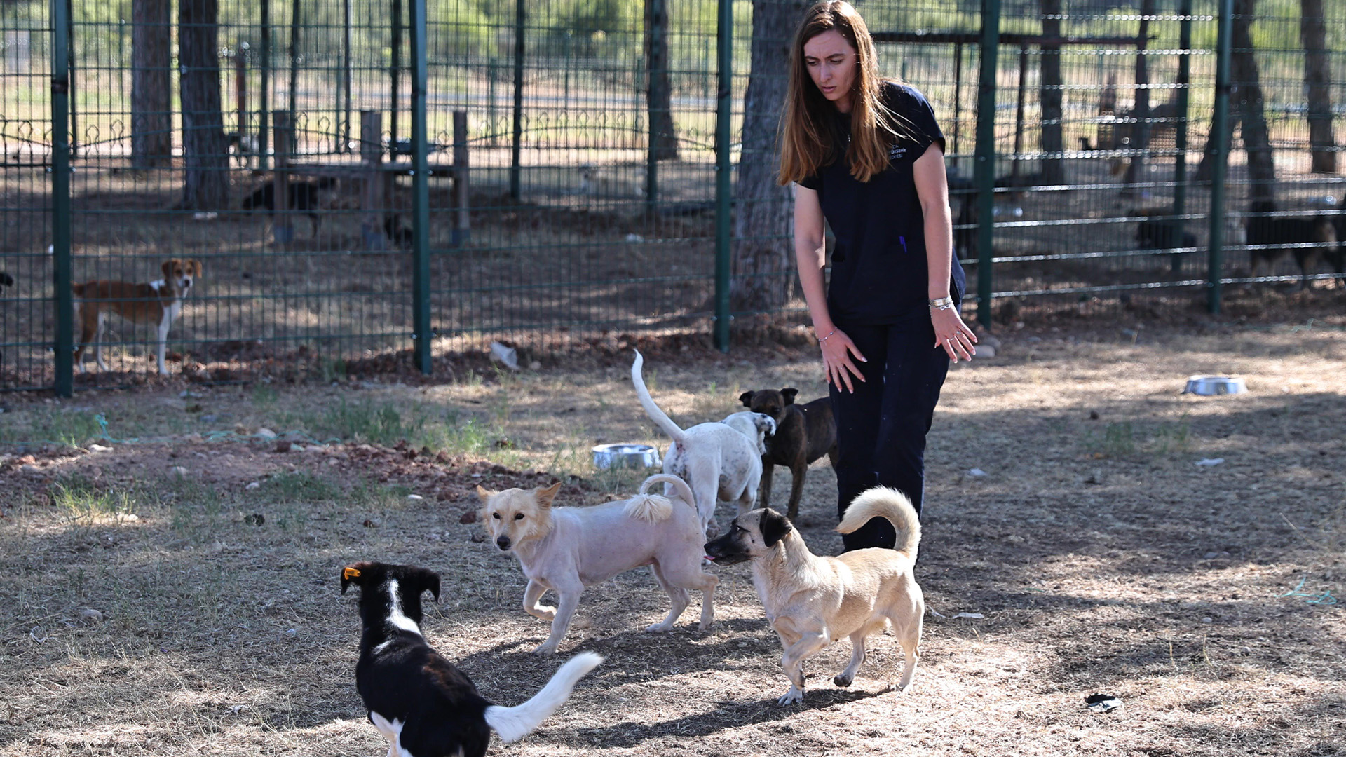 Buyksehircandostlariicin724Hizmetveriyor