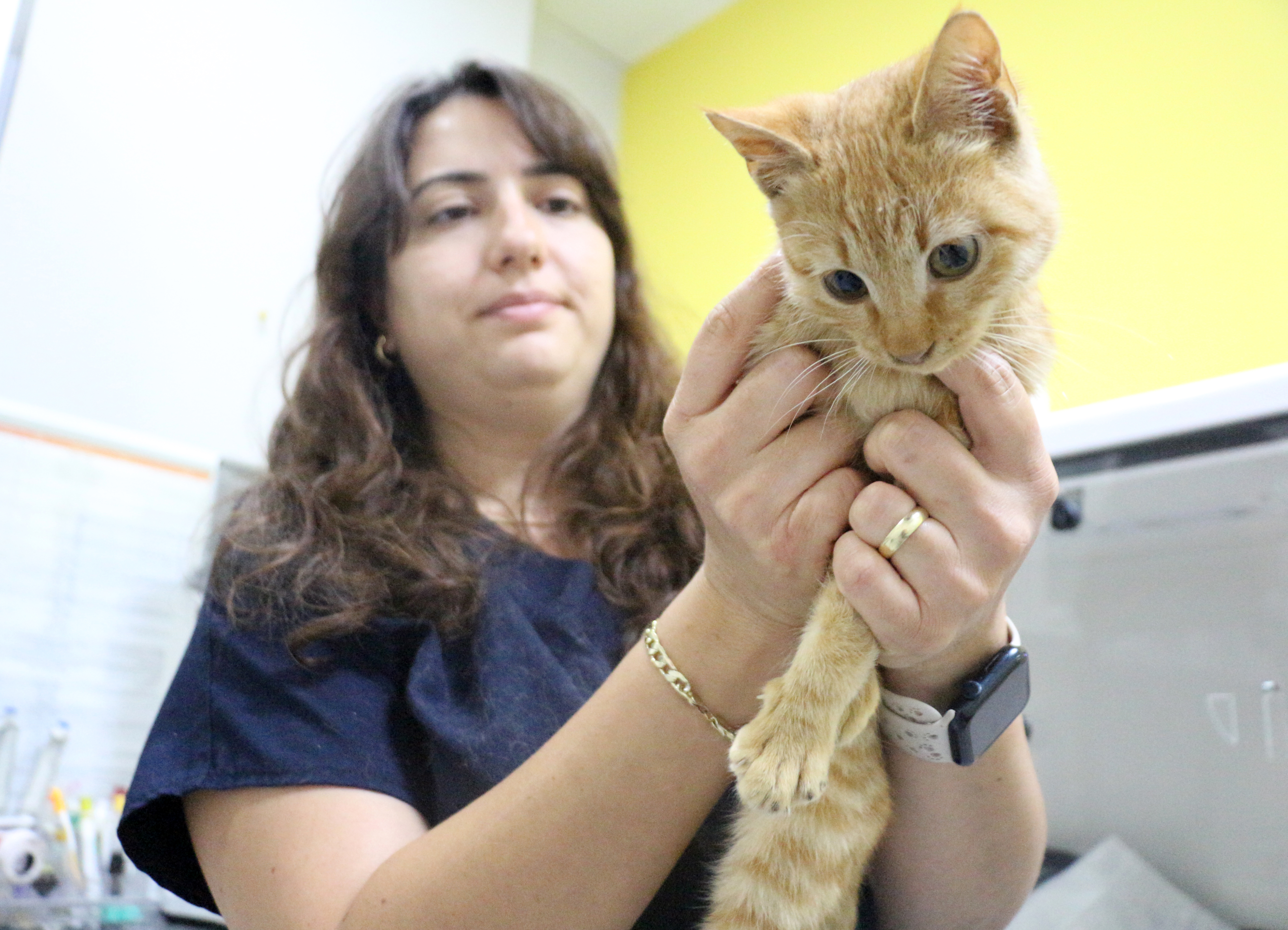 Buyuicinkedilerinuzuvlarinikestiler