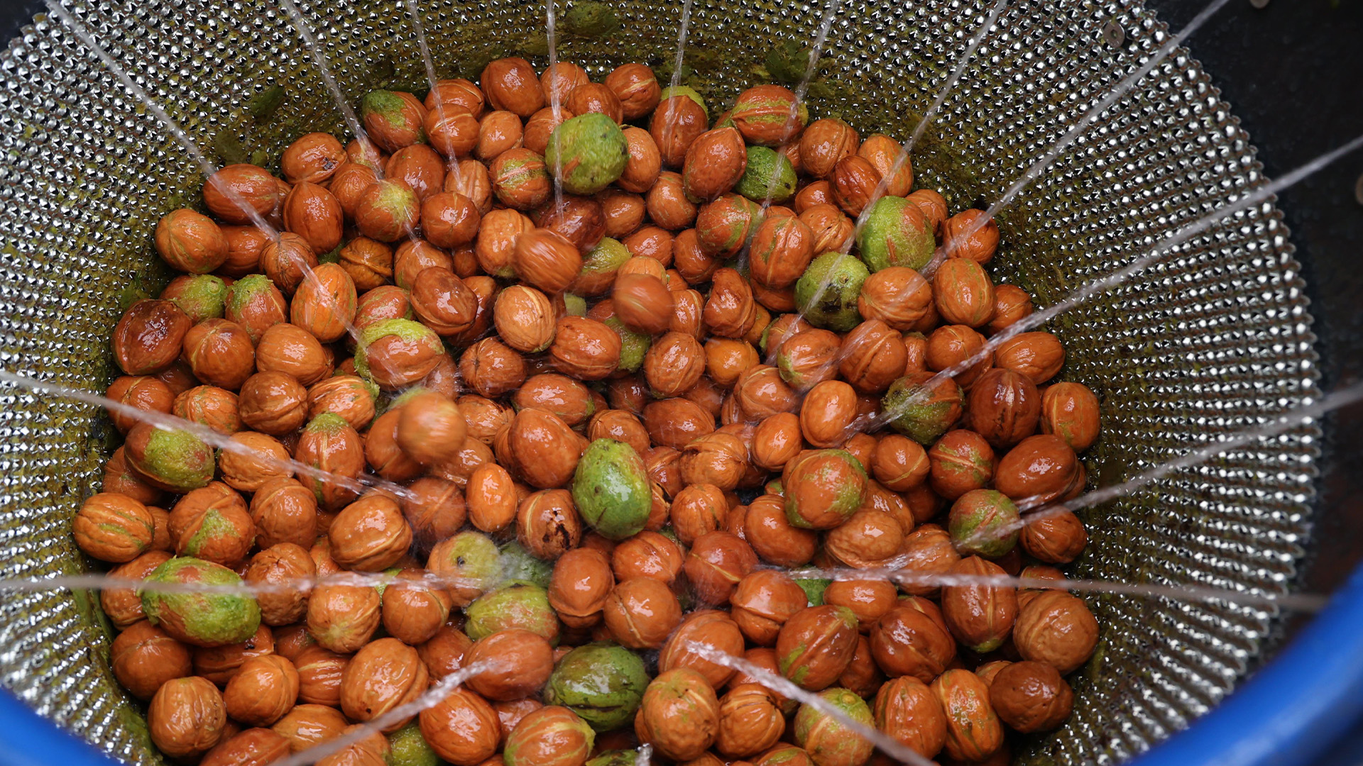 Buyuksehirdenhibedestegi