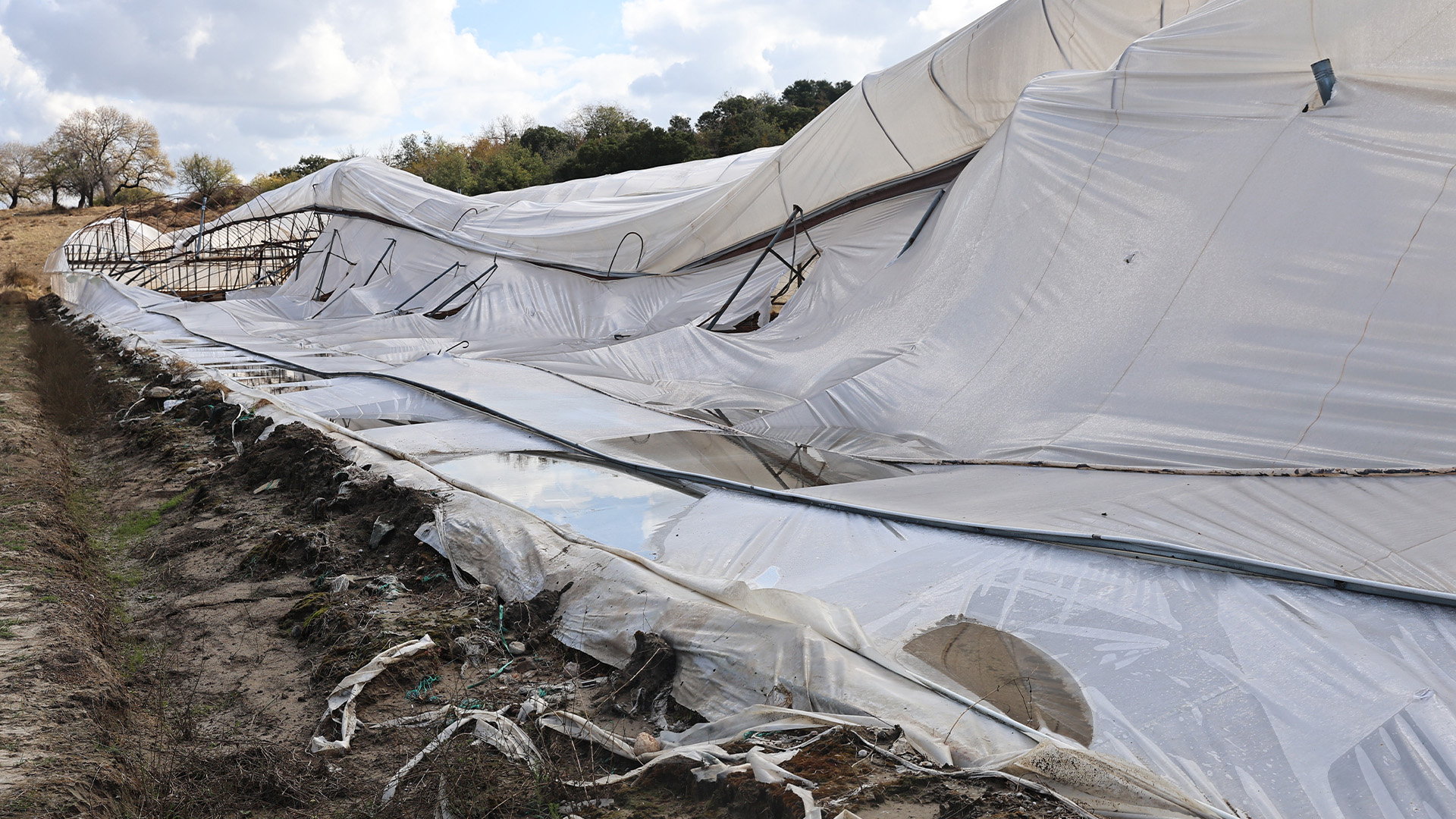 Buyuksehirdenureticiyetamdestek