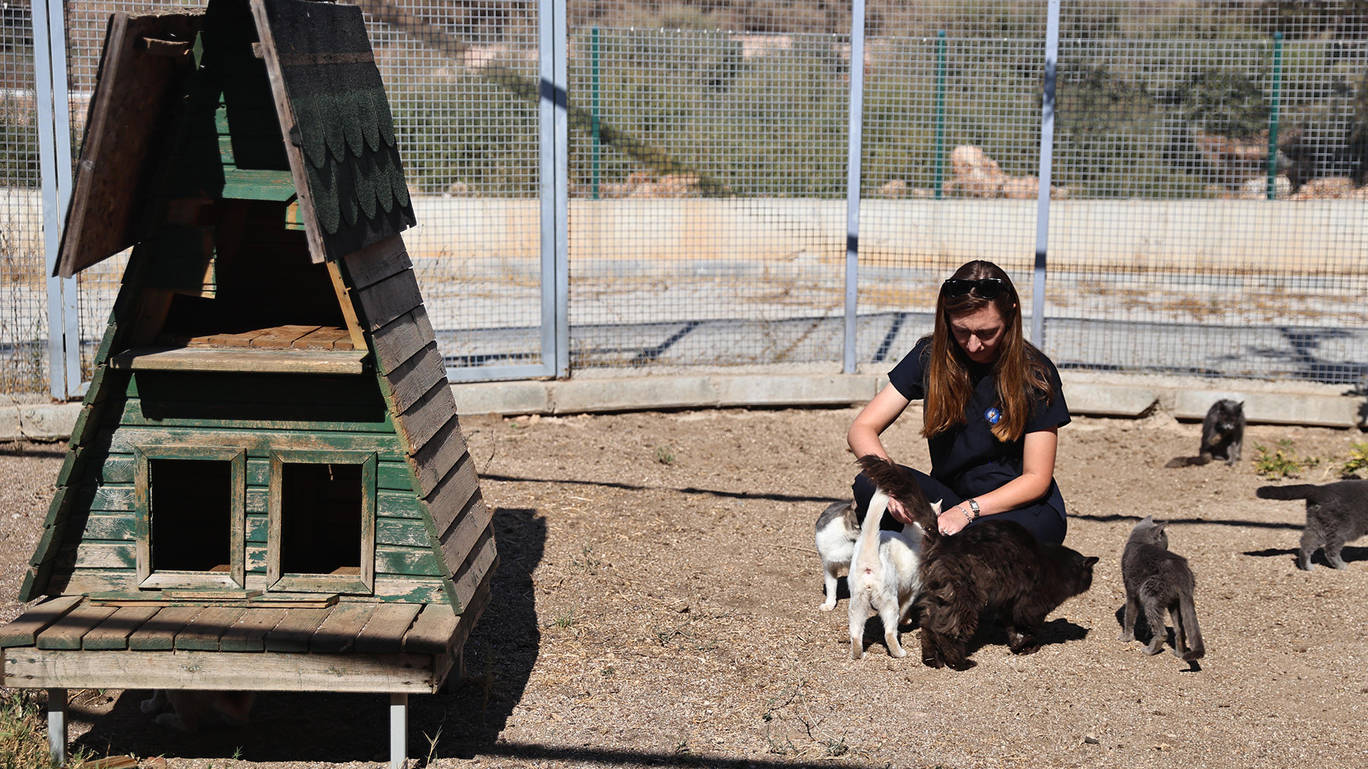 Buyuksehirpatilidostlarinyaninda