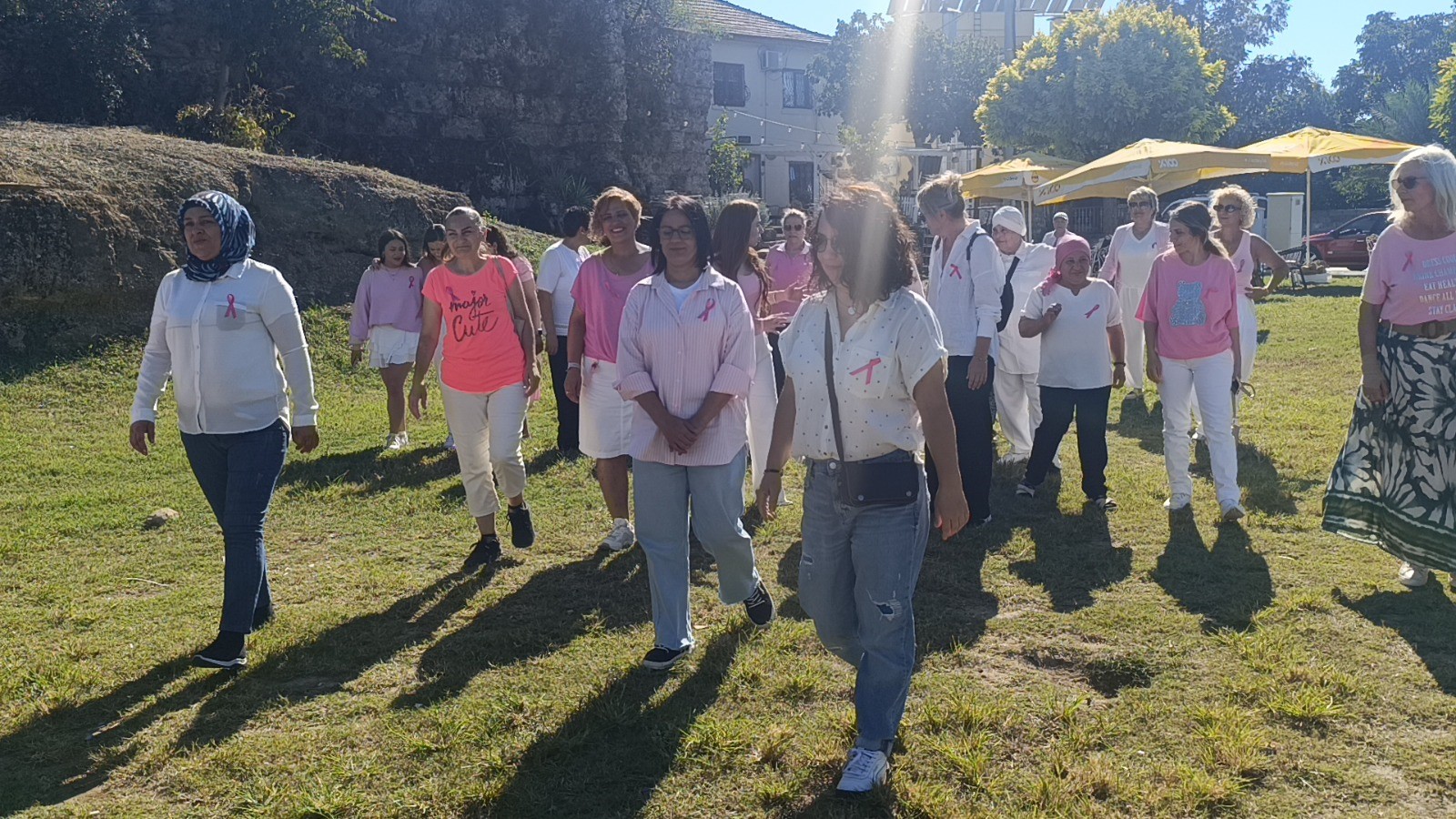 Cicelakcaydananlamlihareket