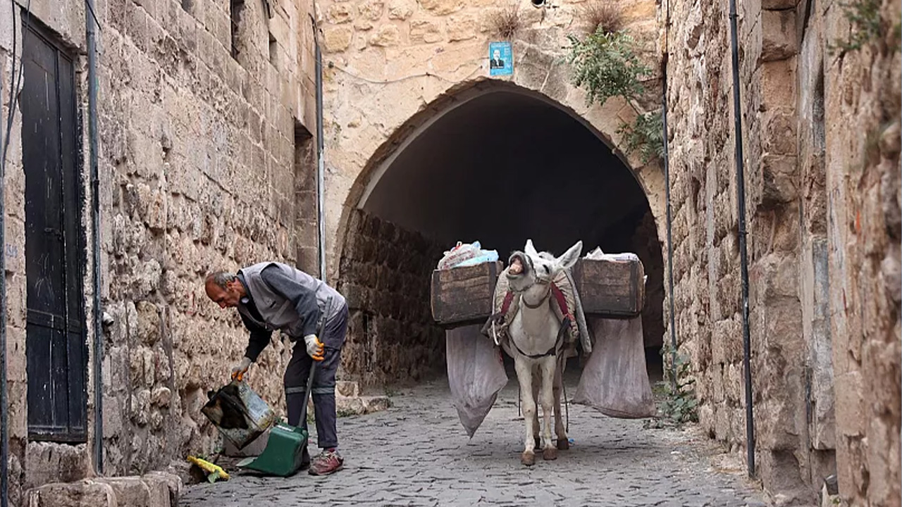 Coptasiyanesekleremeklioluyor