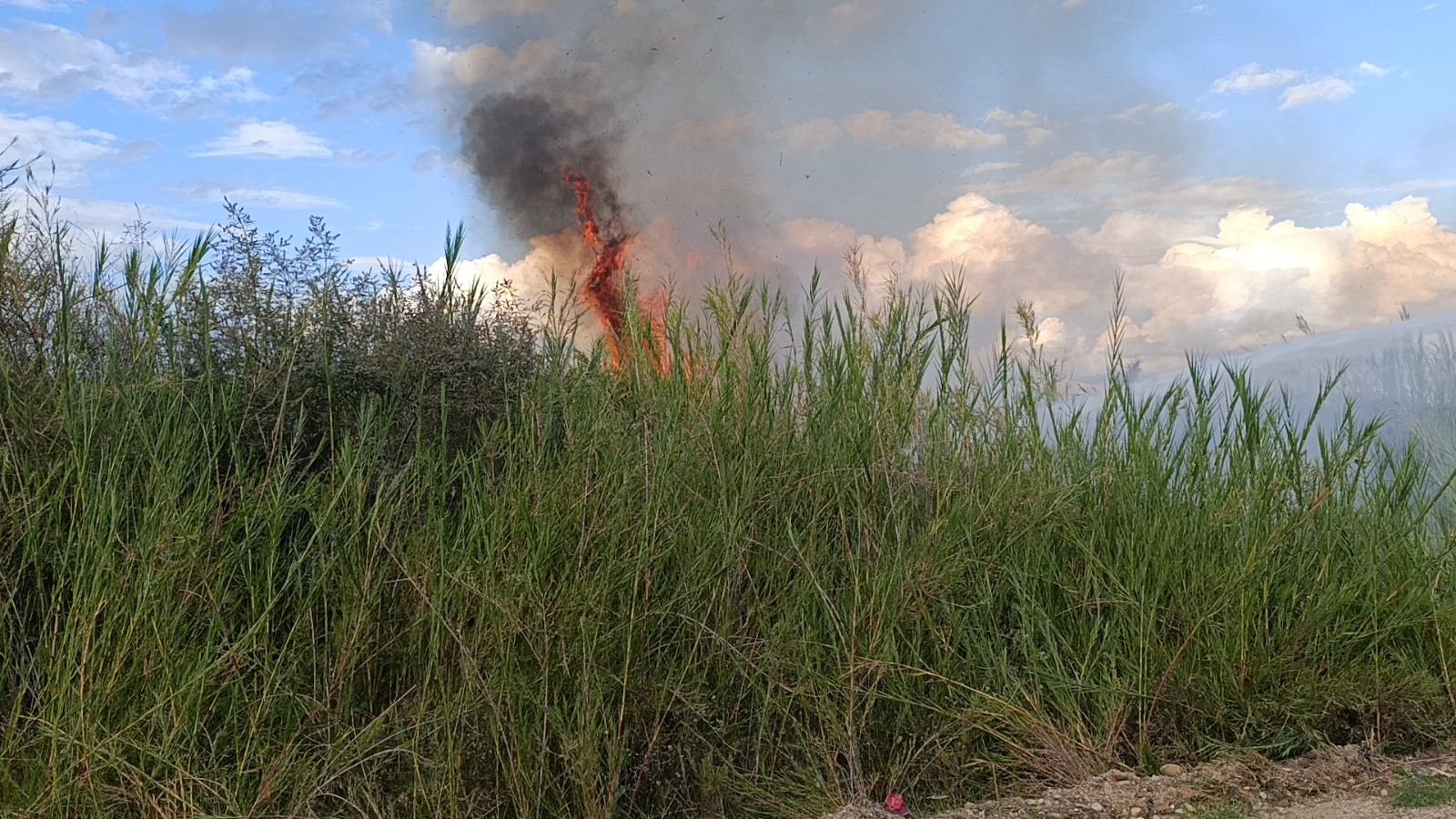 Copyuzundenyangincikti