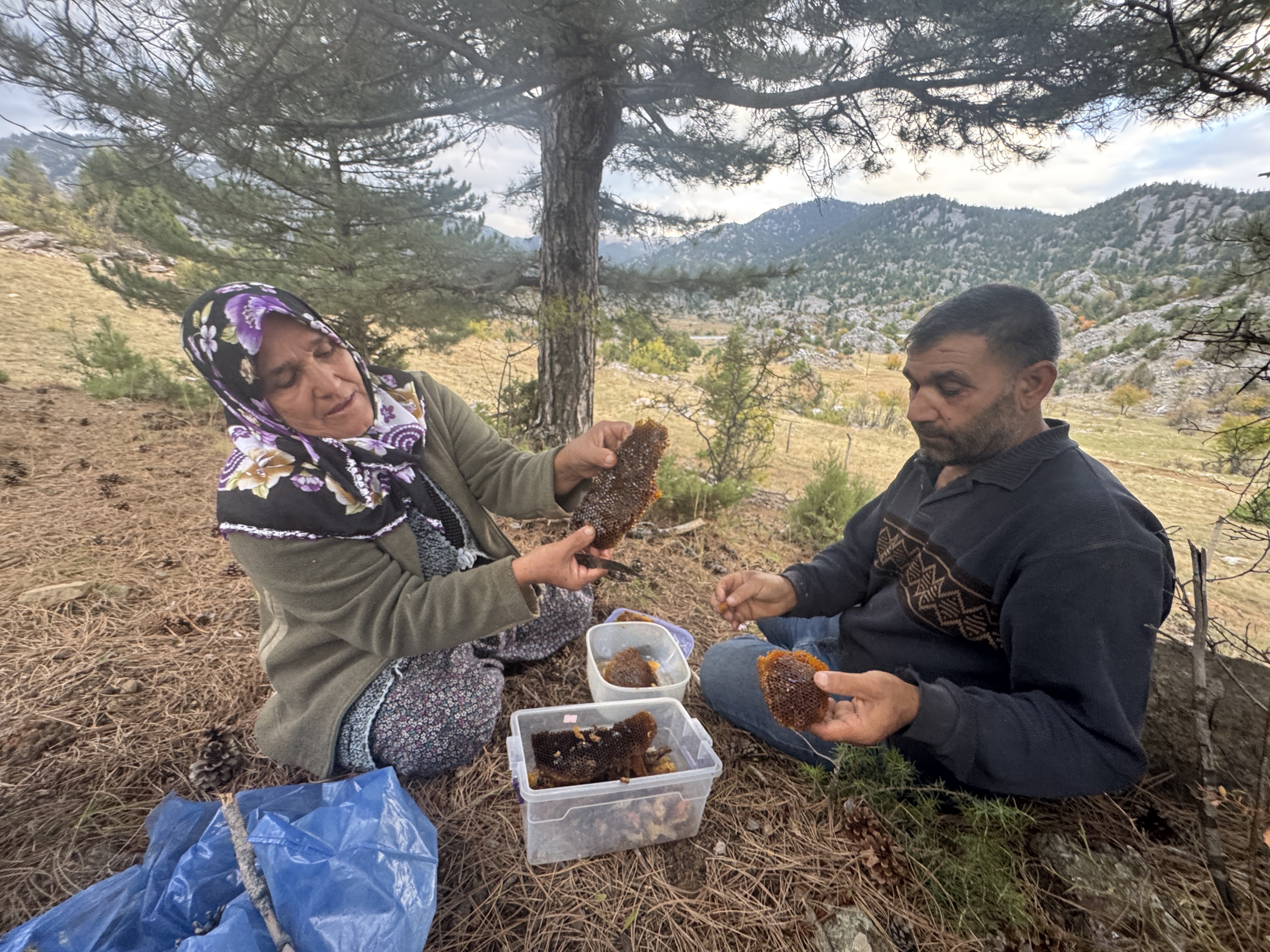 Dagtasdemiyoresiylebirliktearicilllikyapiyor (2)