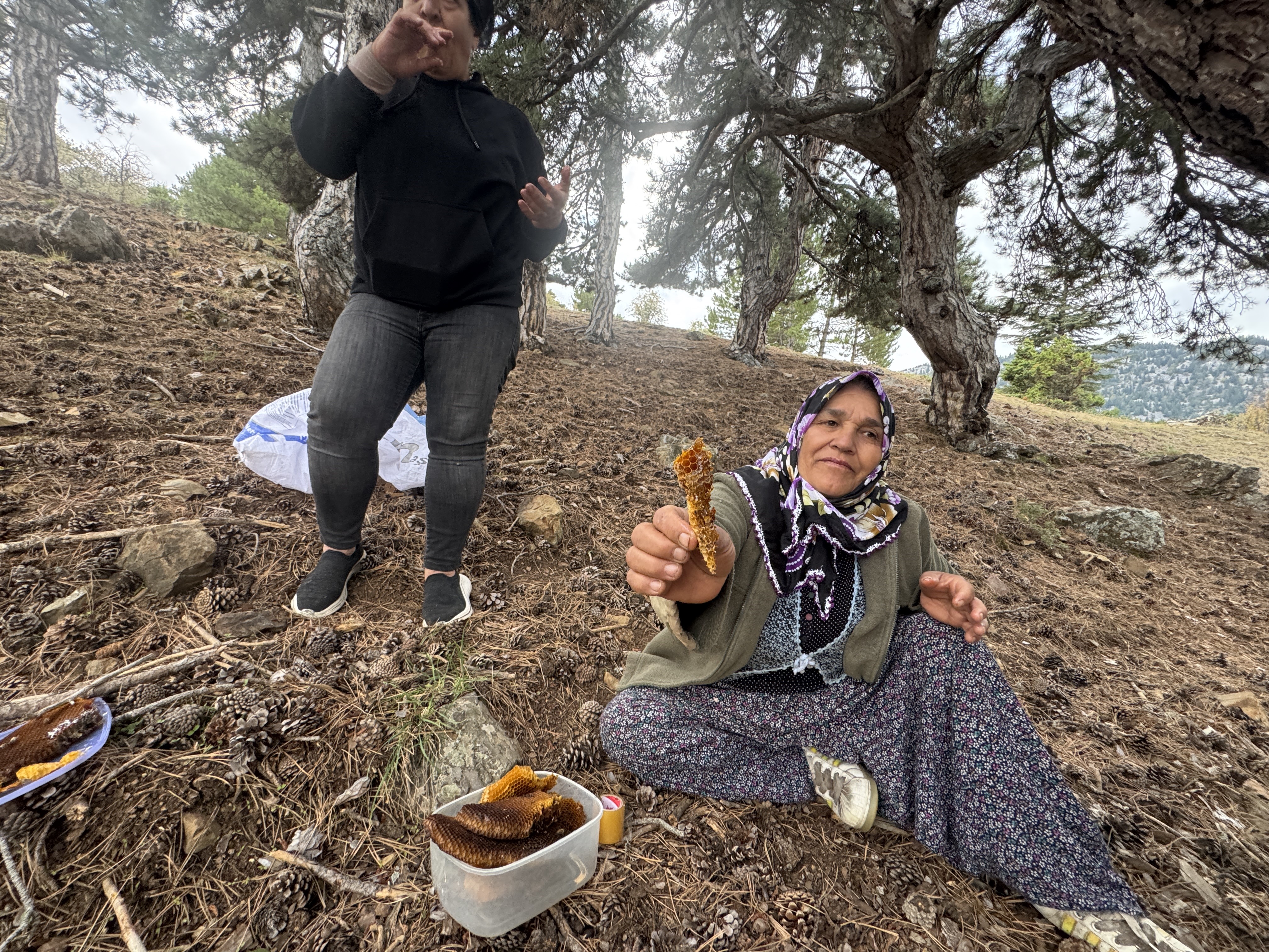 Dagtasdemiyoresiylebirliktearicilllikyapiyor