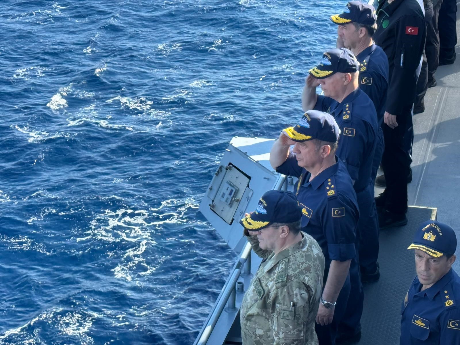 Denizkurdutatbikatiantalyada(2)