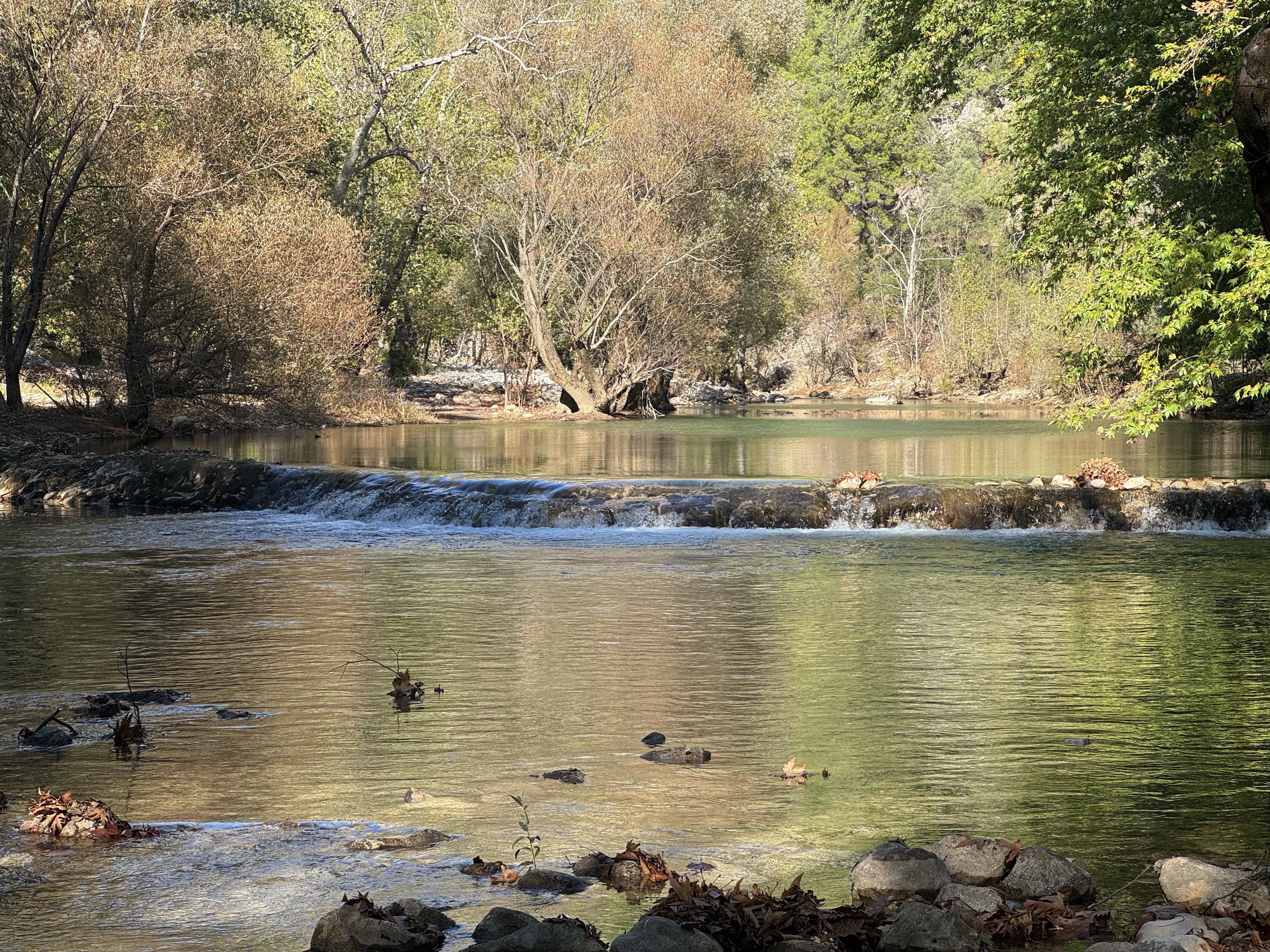 Eskigoruntusunekavustu