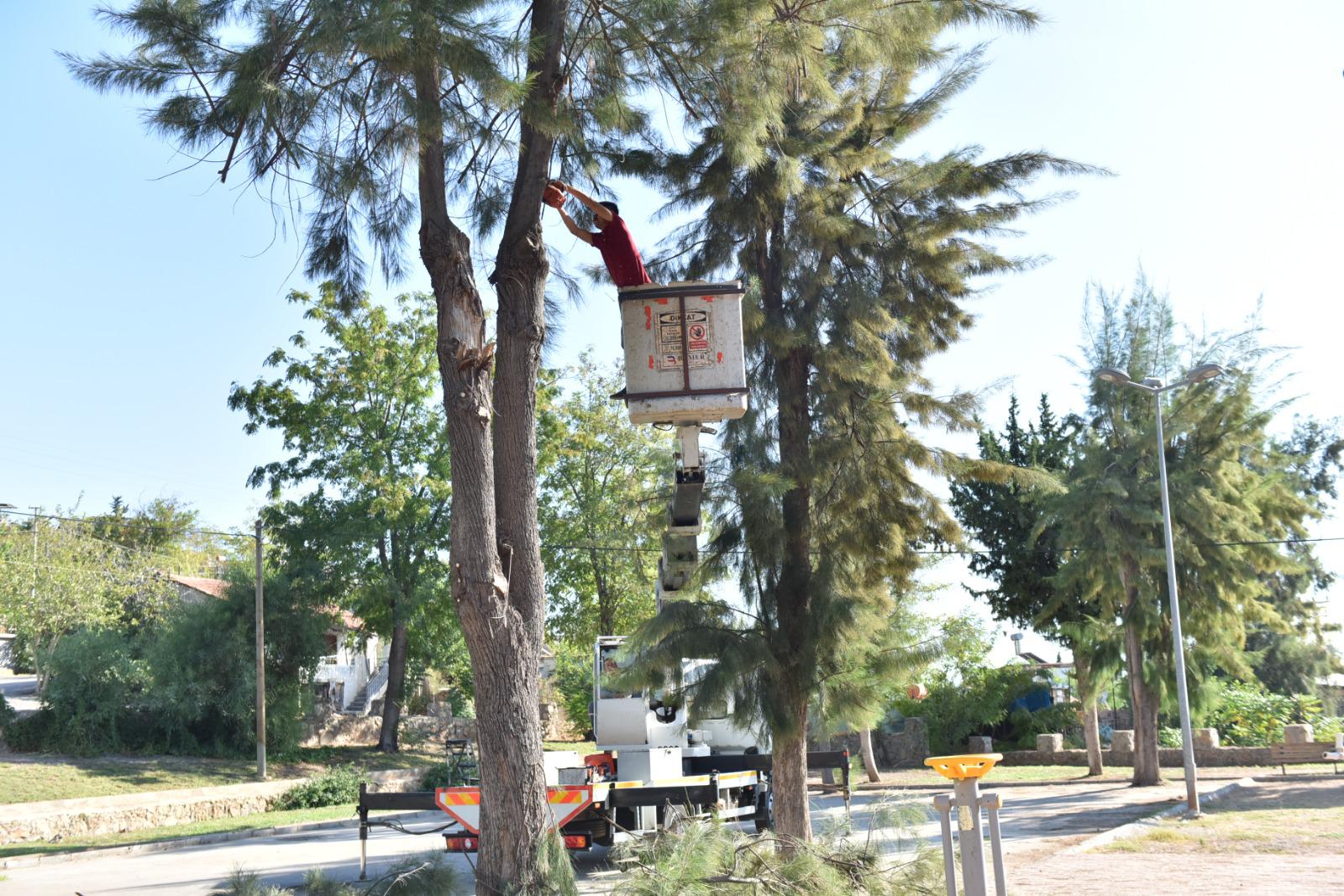 Estetikyasamalanikazandirildi