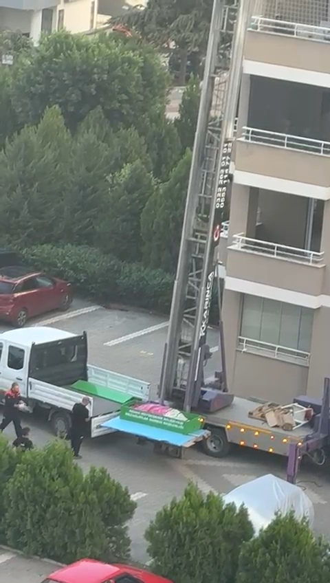 Evdenyayılankotukokular