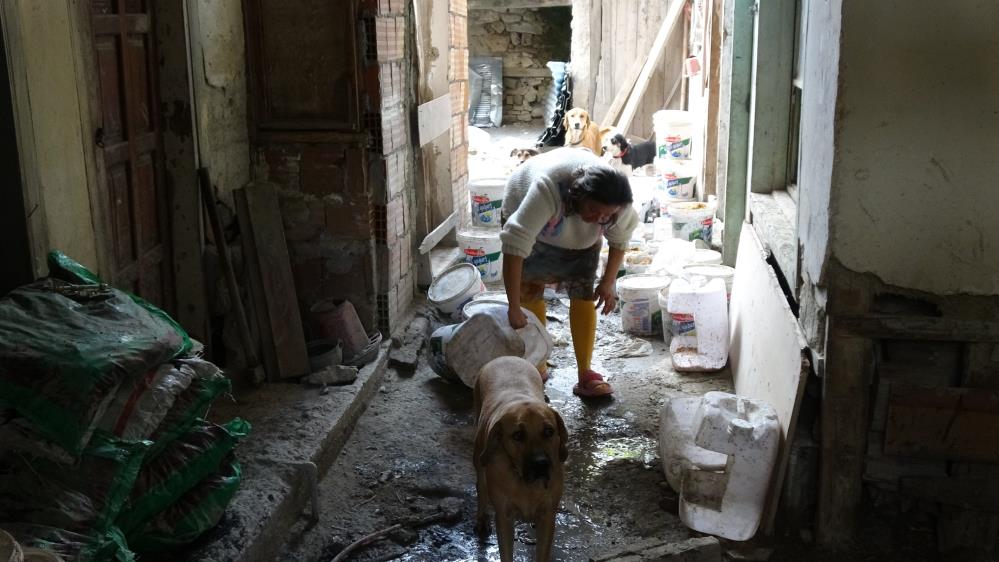 Evsahibikiracıtartısmasıkarakoldabitti