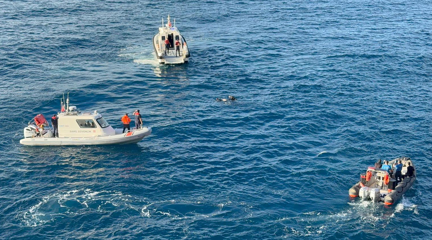 Falezlerdesupheliolum