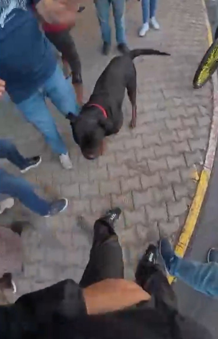 Fecisaldiriyianlatti