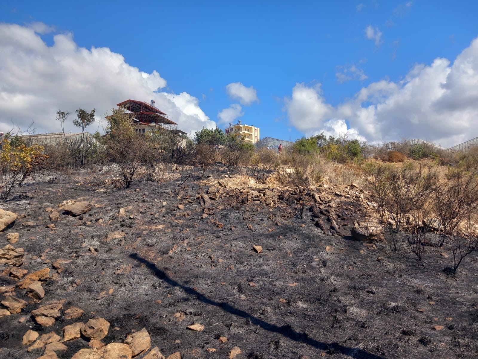 Gazipasadakorkutanyangin-2