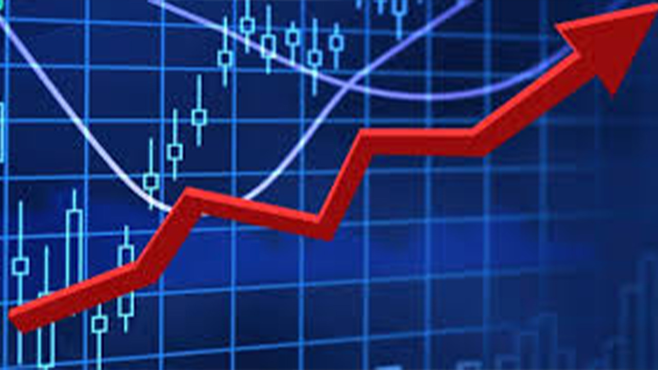 Hangifirmalarhalkaarzoldu