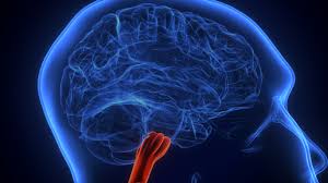 Inmeyle Nasil Mucadeleedilir