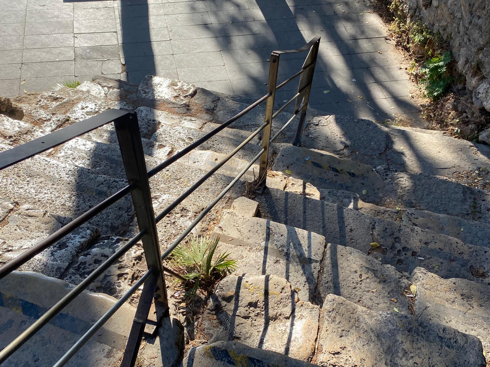 Kaleicimimarisindesondurum